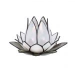 N1516T WHITE_1