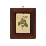 DECORT-T LEGNO_7